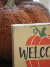~jEbhubN@(Welcome Pumpkin DG)